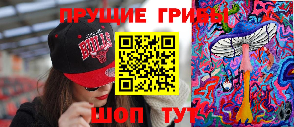 Псилоцибиновые грибы Psilocybe Большой Камень